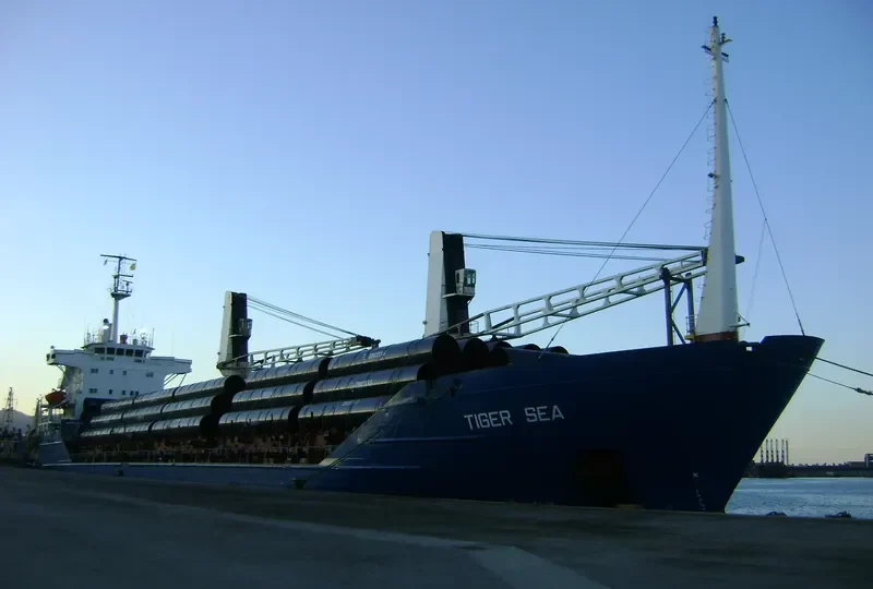 TIGER SEA General Cargo IMO 8120636 photo 8