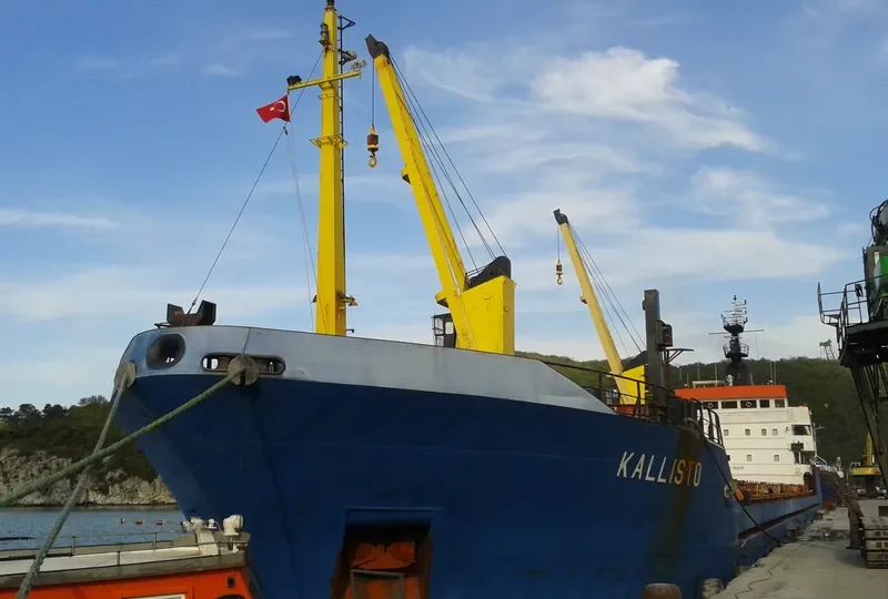 SEA NAVIGATOR General Cargo IMO 8121381 photo 3