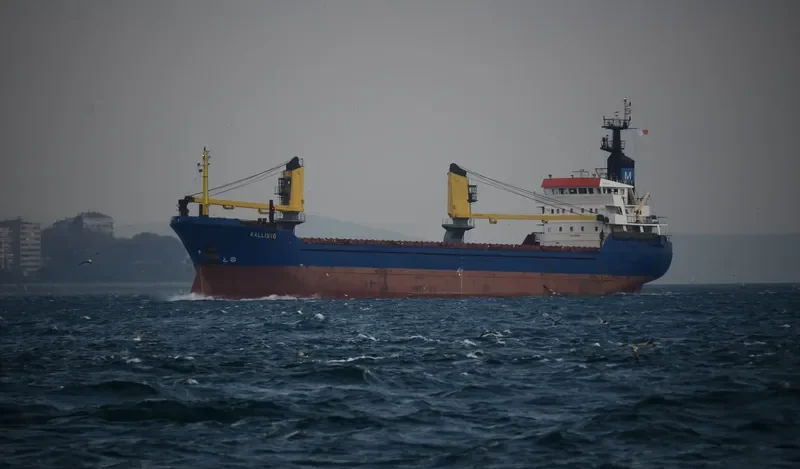 SEA NAVIGATOR General Cargo IMO 8121381 photo 6
