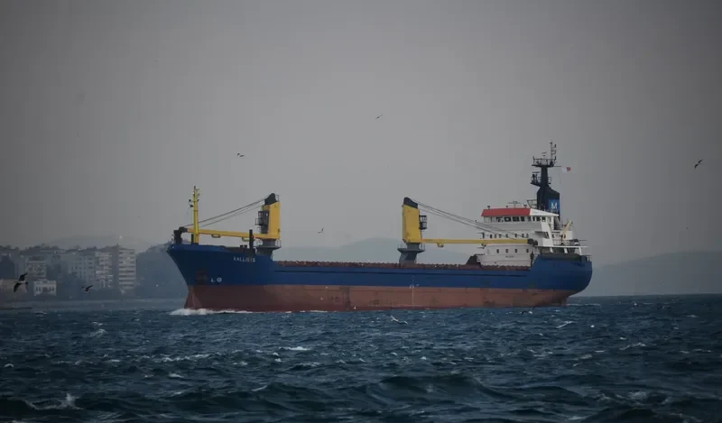 SEA NAVIGATOR General Cargo IMO 8121381 photo 8