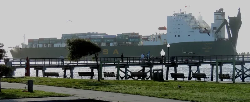 HOFUF Ro-Ro IMO 8121769 photo 2