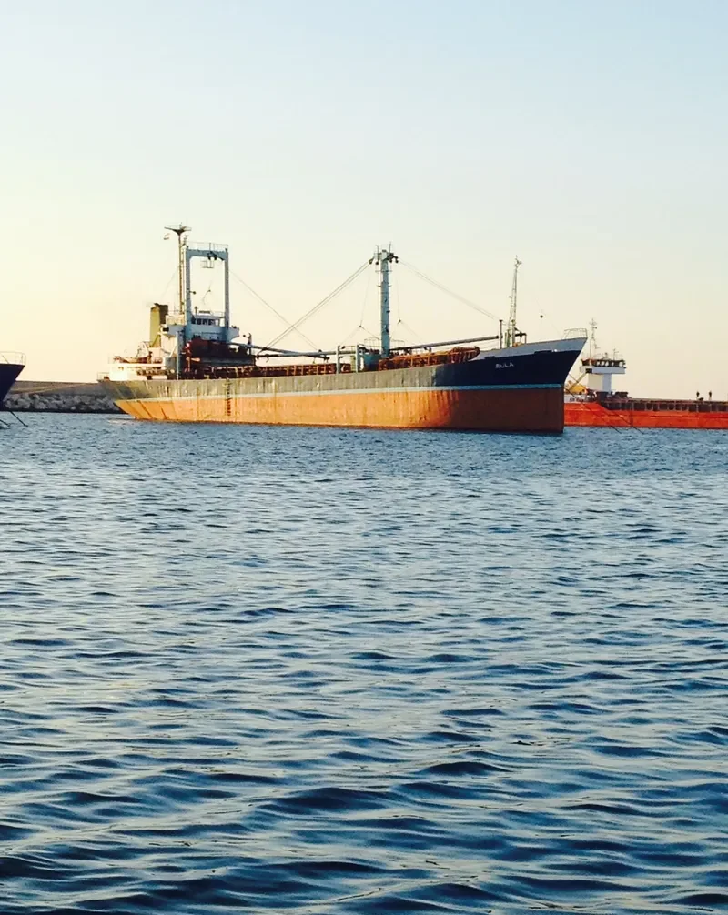 RULA General Cargo IMO 8122311 photo 7