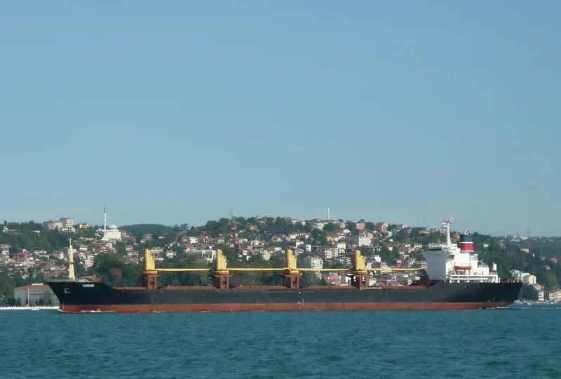 FAROUK Bulk Carrier IMO 8123236