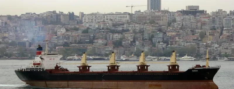 FAROUK Bulk Carrier IMO 8123236 photo 2