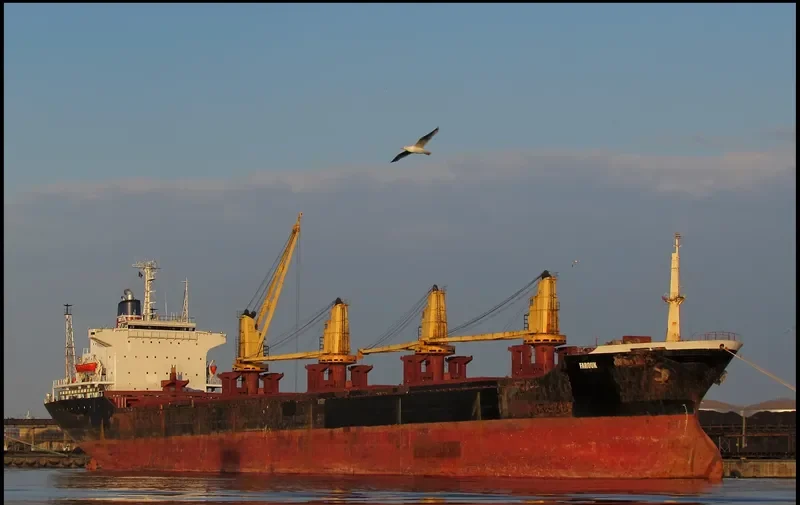 FAROUK Bulk Carrier IMO 8123236 photo 5