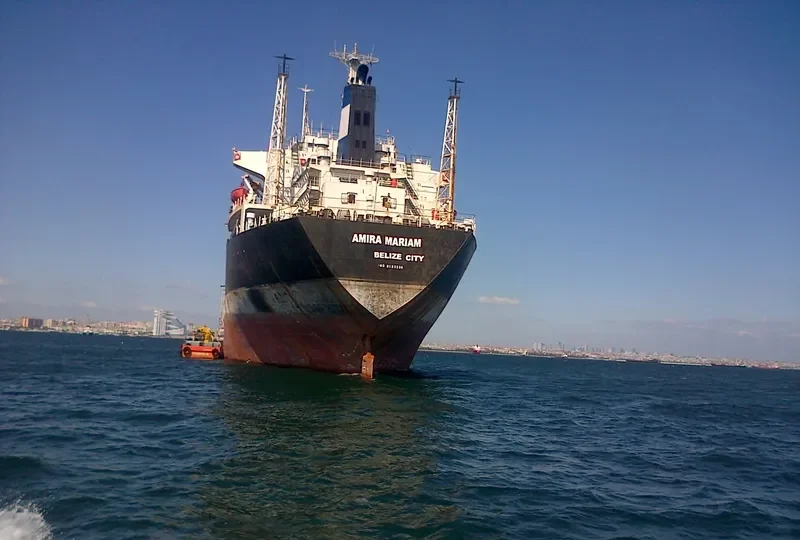 FAROUK Bulk Carrier IMO 8123236 photo 6