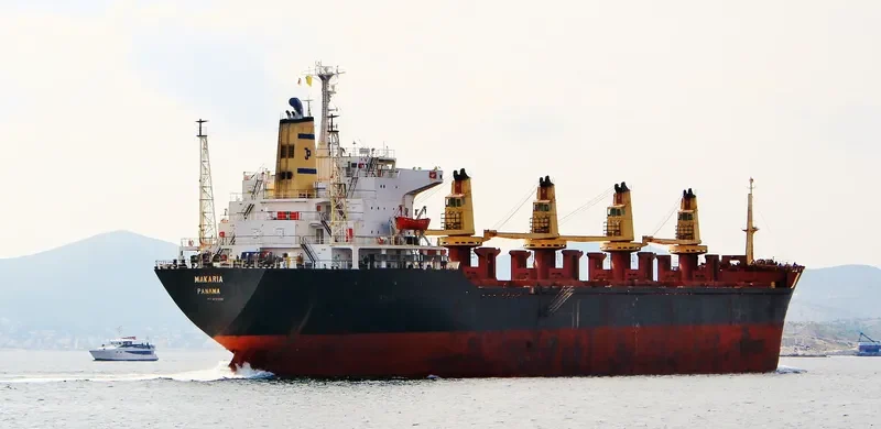 FAROUK Bulk Carrier IMO 8123236 photo 7