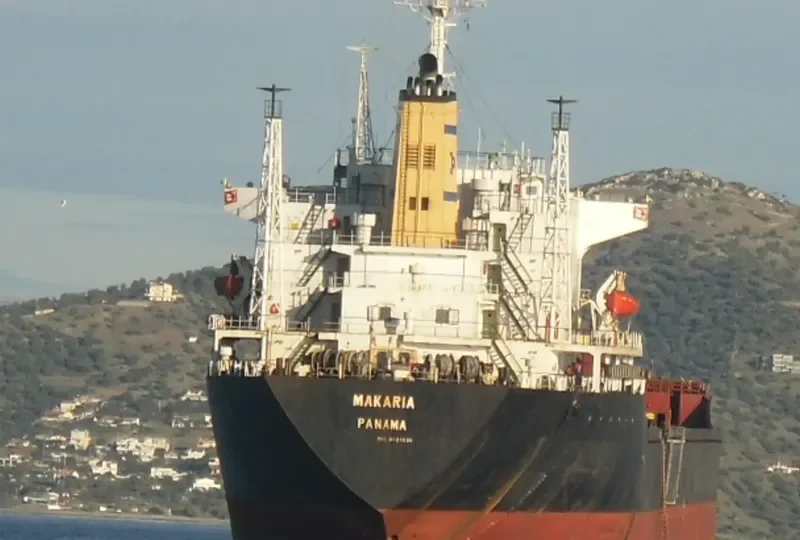 FAROUK Bulk Carrier IMO 8123236 photo 10
