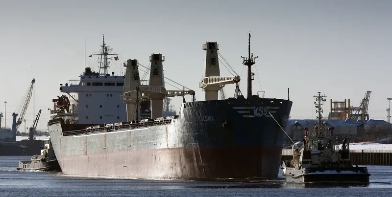 TULOMA Bulk Carrier IMO 8123731 photo 9