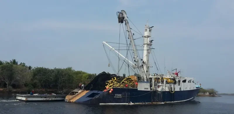 BONNIE General Cargo IMO 8124060