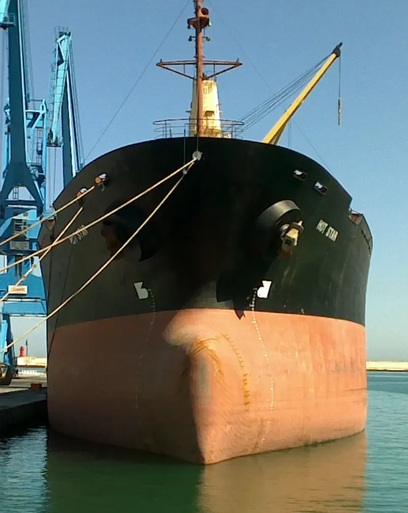 HONG JI 1 Bulk Carrier IMO 8124797