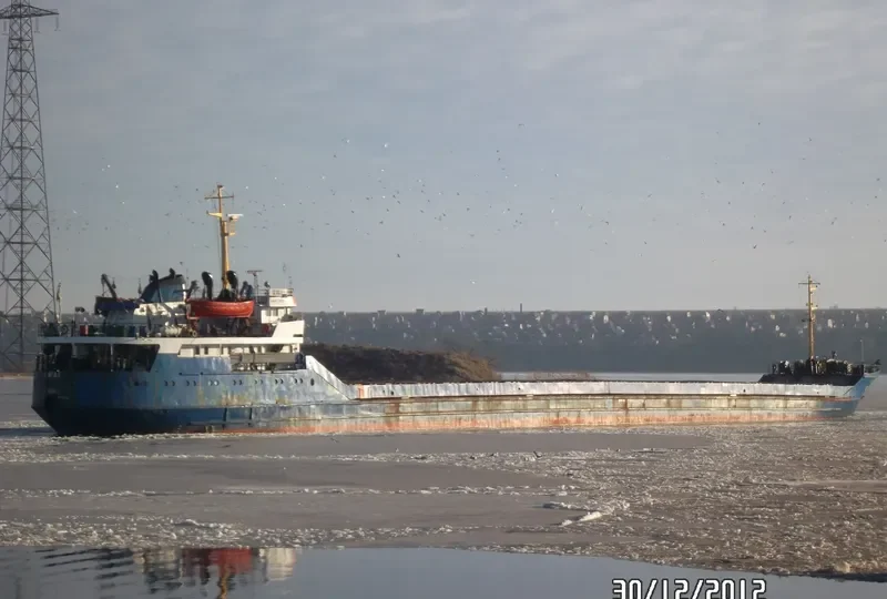 SEAGULL General Cargo IMO 8126032