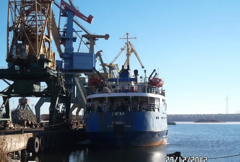SEAGULL General Cargo IMO 8126032 photo 24
