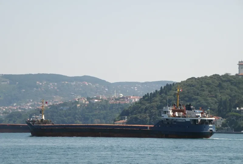 SEAGULL General Cargo IMO 8126032 photo 28
