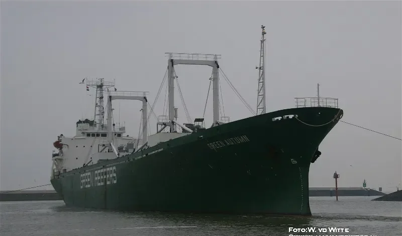 GREEN AUTUMN General Cargo IMO 8126044 photo 4