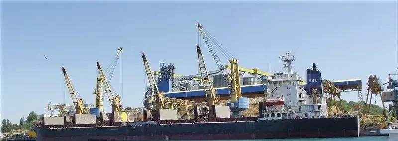 MARSI Bulk Carrier IMO 8126630