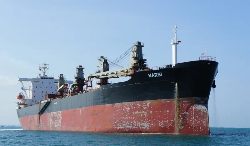 MARSI Bulk Carrier IMO 8126630 photo 7