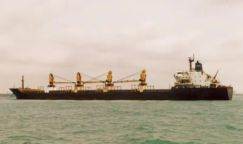 CHENNAI PERRUMAI Bulk Carrier IMO 8128066