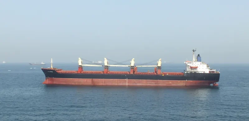 ATLANTIS Bulk Carrier IMO 8128078