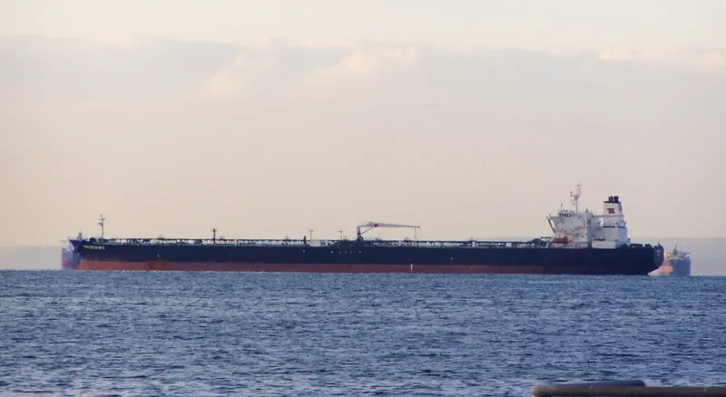 GDANSK Bulk Carrier IMO 8128664 photo 5