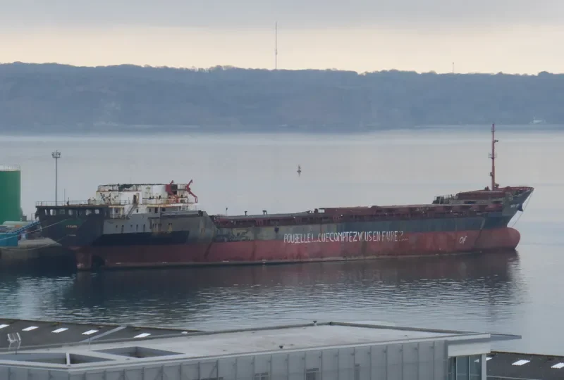 CAPTAIN TSAREV Container Ship IMO 8128860 photo 2