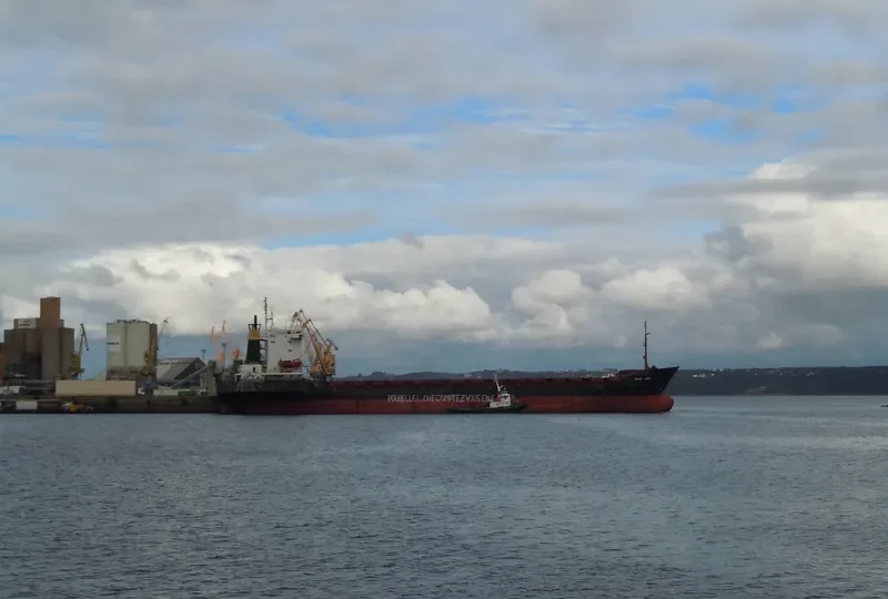 CAPTAIN TSAREV Container Ship IMO 8128860 photo 7