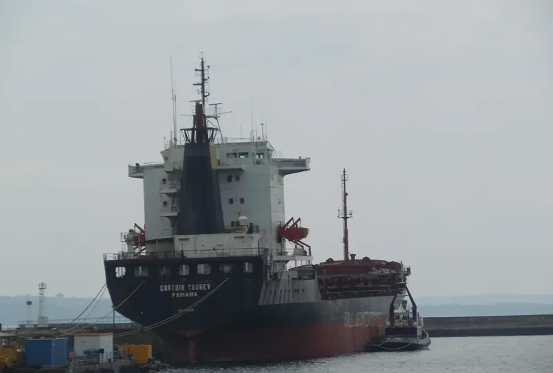 CAPTAIN TSAREV Container Ship IMO 8128860 photo 8