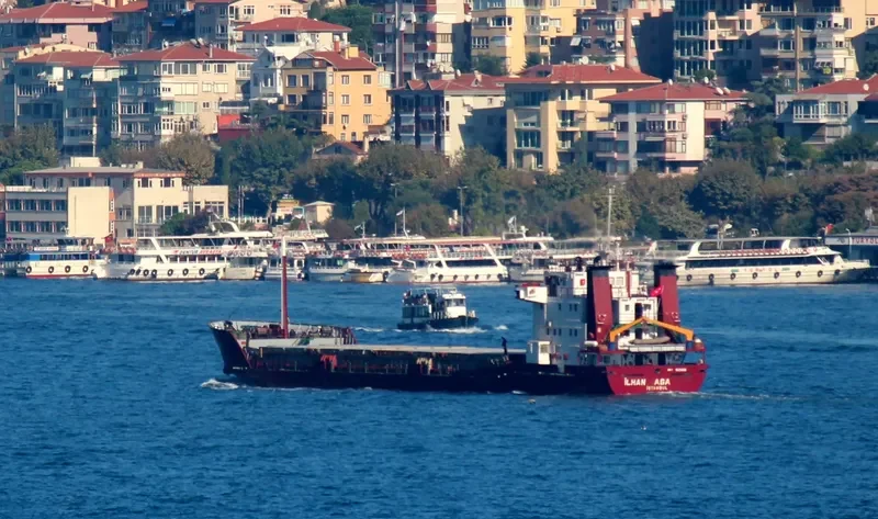 SAIF 1 General Cargo IMO 8129266 photo 8