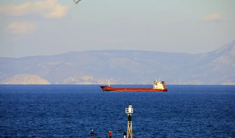 SAIF 1 General Cargo IMO 8129266 photo 10
