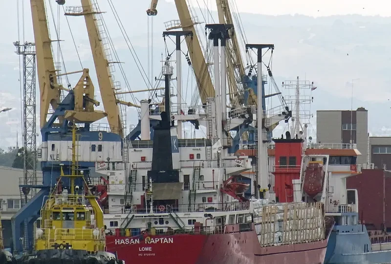 HASAN KAPTAN Bulk Carrier IMO 8129319