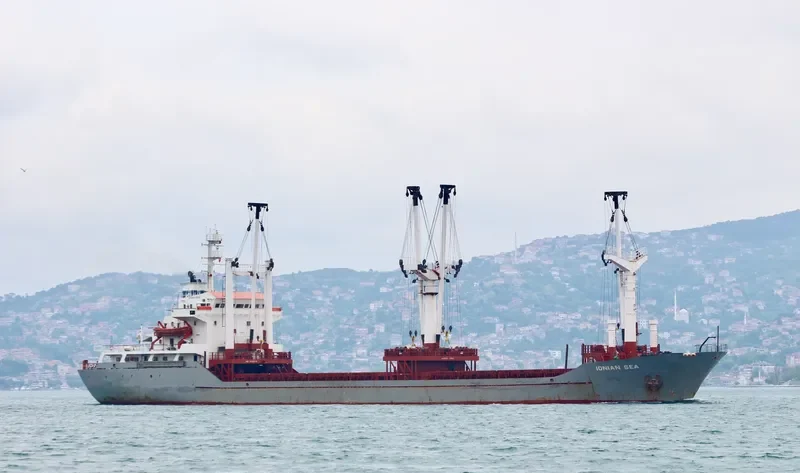 HASAN KAPTAN Bulk Carrier IMO 8129319 photo 2