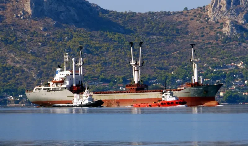 HASAN KAPTAN Bulk Carrier IMO 8129319 photo 4