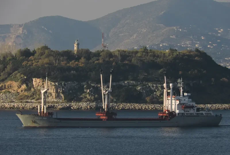 HASAN KAPTAN Bulk Carrier IMO 8129319 photo 6