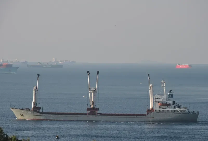 HASAN KAPTAN Bulk Carrier IMO 8129319 photo 7