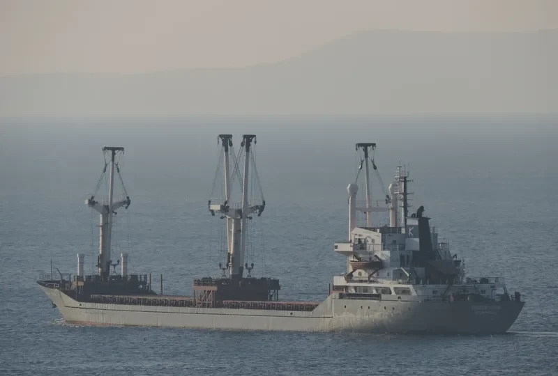 HASAN KAPTAN Bulk Carrier IMO 8129319 photo 8