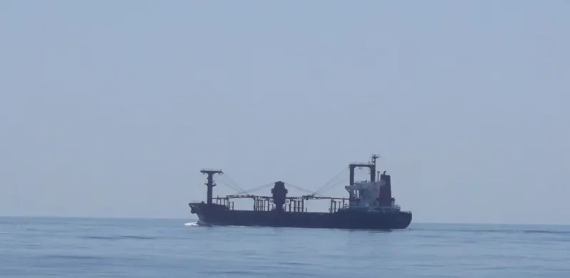 ALTRANY General Cargo IMO 8129321 photo 7