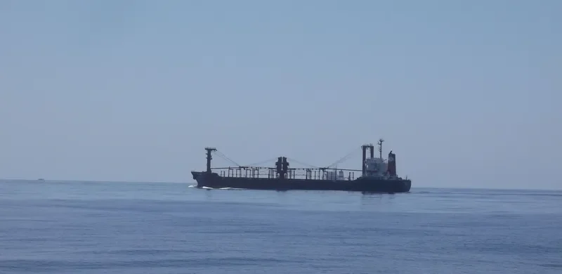 ALTRANY General Cargo IMO 8129321 photo 8