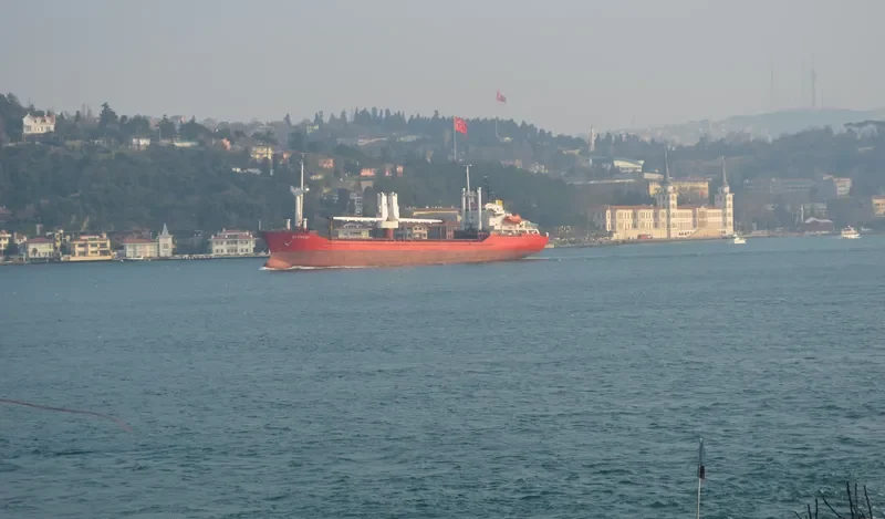 ALTRANY General Cargo IMO 8129321 photo 10