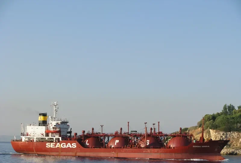 SEAGAS GENERAL General Cargo IMO 8129814 photo 2