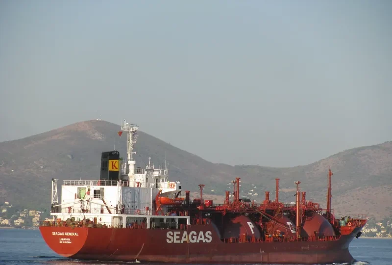 SEAGAS GENERAL General Cargo IMO 8129814 photo 3