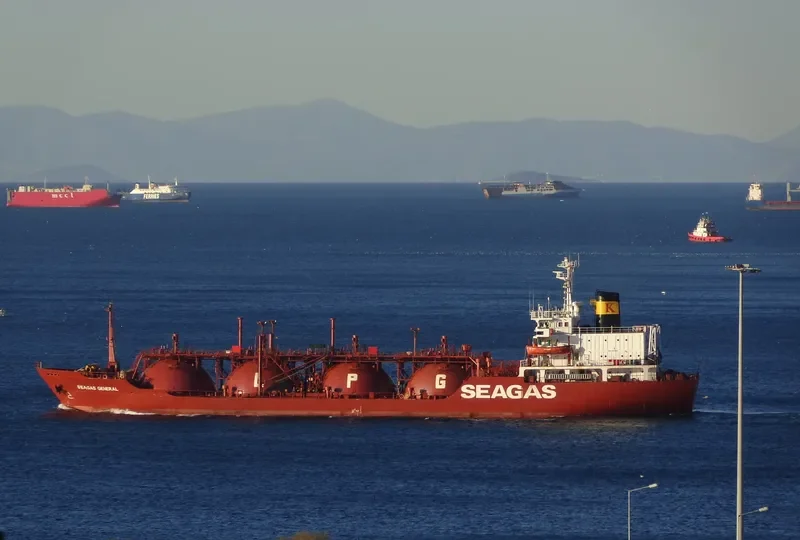 SEAGAS GENERAL General Cargo IMO 8129814 photo 5