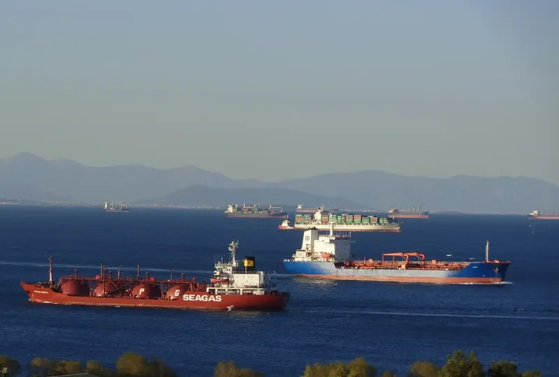 SEAGAS GENERAL General Cargo IMO 8129814 photo 6