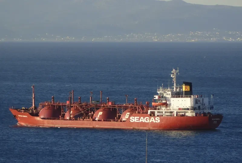 SEAGAS GENERAL General Cargo IMO 8129814 photo 7