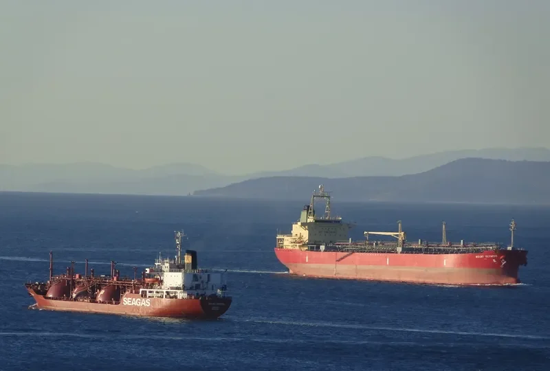 SEAGAS GENERAL General Cargo IMO 8129814 photo 8