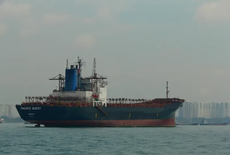 MSC LANA Container Ship IMO 8130019