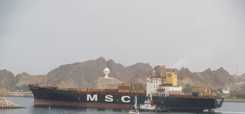 MSC LANA Container Ship IMO 8130019 photo 2