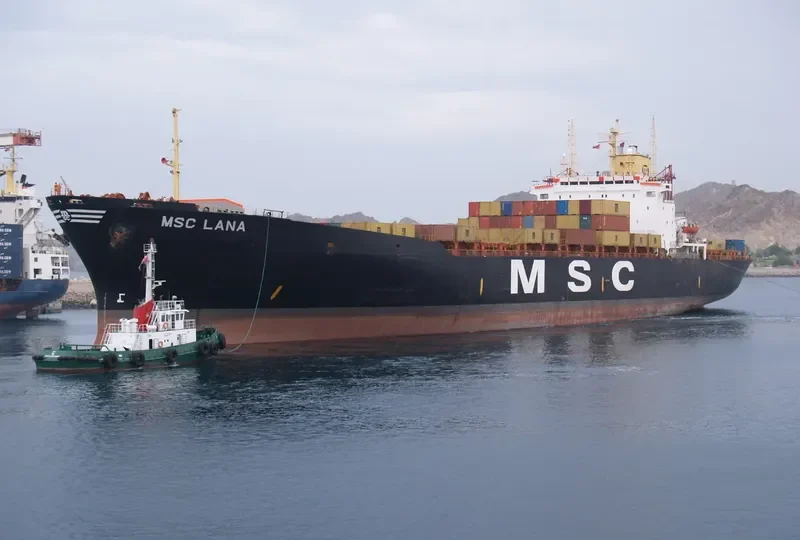 MSC LANA Container Ship IMO 8130019 photo 3