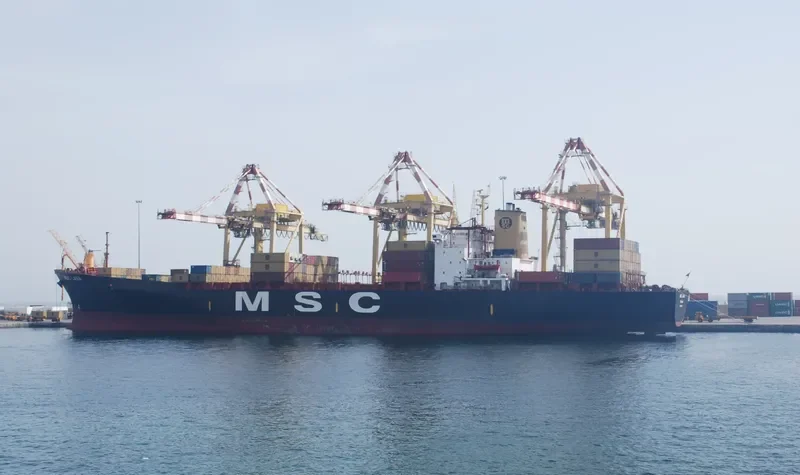 MSC LANA Container Ship IMO 8130019 photo 6