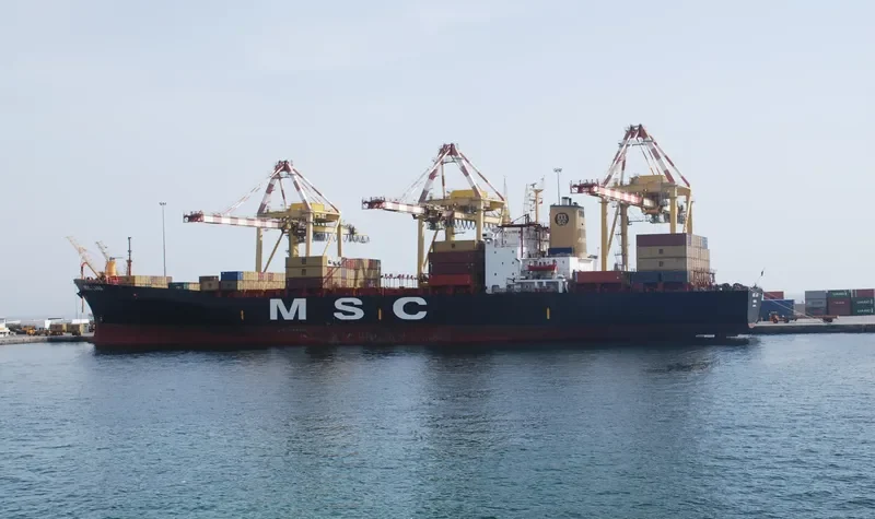 MSC LANA Container Ship IMO 8130019 photo 7