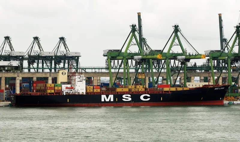 MSC LANA Container Ship IMO 8130019 photo 8